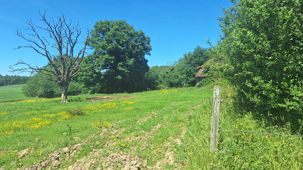 Vente Remise/Grange Grange à aménager Saint saud lacoussiere