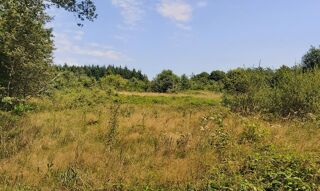  Terrain  vendre 