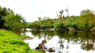  Maison � vendre 7 pi�ces 260 m�