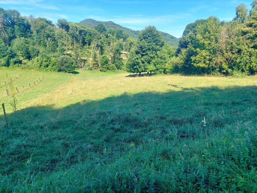 Vente Terrain TERRAIN DE 2 900 m², SECTEUR 