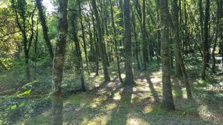  Maison � vendre 15 + pi�ces 554 m�