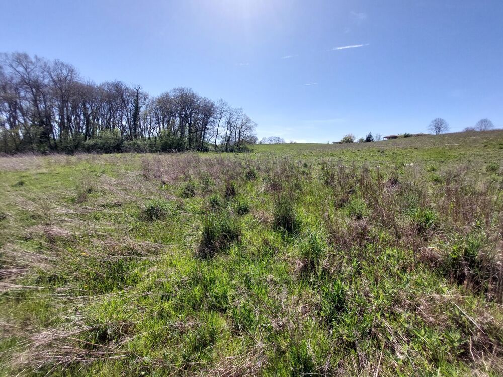 Vente Terrain TRES BON RAPPORT QUALITE/PRIX JOLI TERRAIN DE 3.010 M² SECTEUR 
