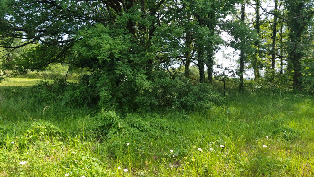 Vente Terrain Terrrain à batir Nontron