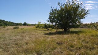  Terrain à vendre 