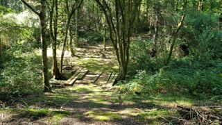  Maison � vendre 15 + pi�ces 554 m�