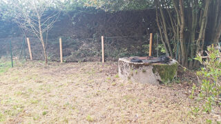  Appartement � louer 3 pi�ces 58 m�