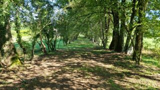  Maison � vendre 15 + pi�ces 554 m�