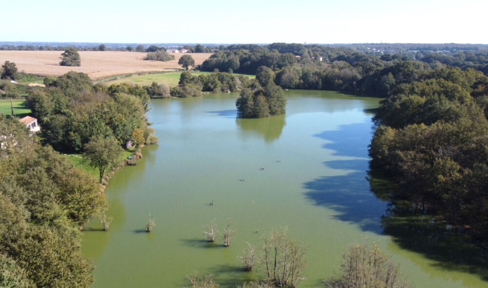  vendre  Maison Le Vigeant (86150)