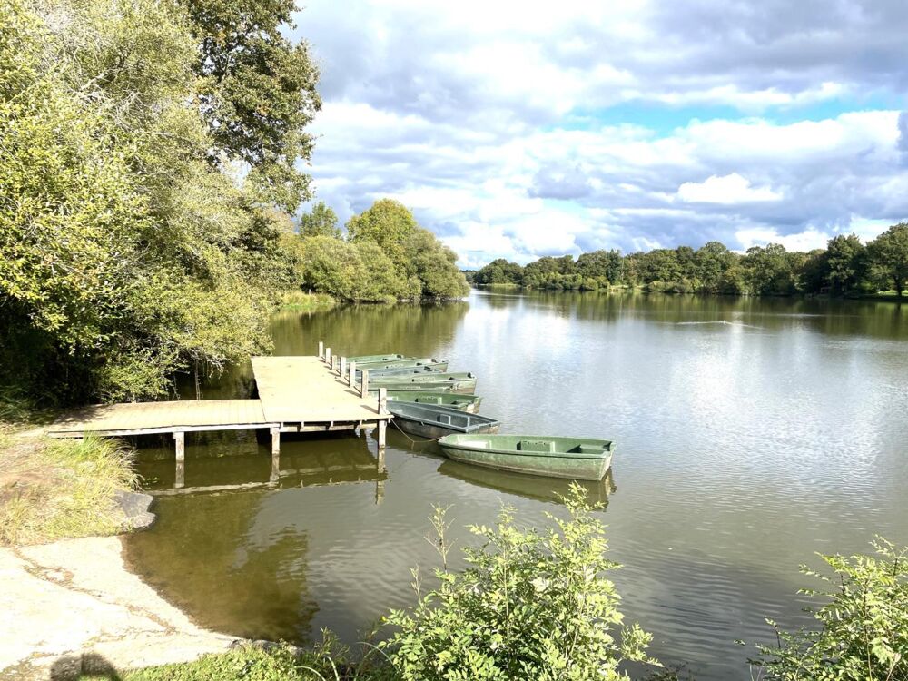  vendre  Maison Asnires-sur-Blour (86430)