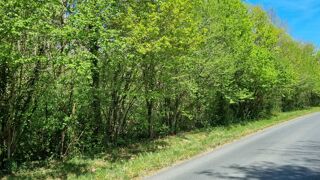  Terrain � vendre 