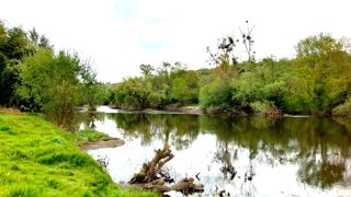  Maison � vendre 7 pi�ces 260 m�