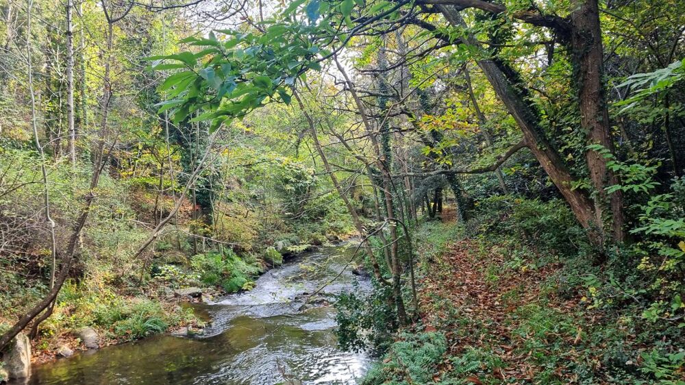  vendre  Maison Brousses-et-Villaret (11390)