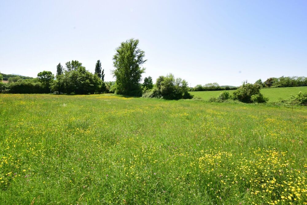 Vente Terrain TERRAIN CONSTRUCTIBLE DE 6.200 M² A UN PRIX ATTRACTIF SECTEUR 