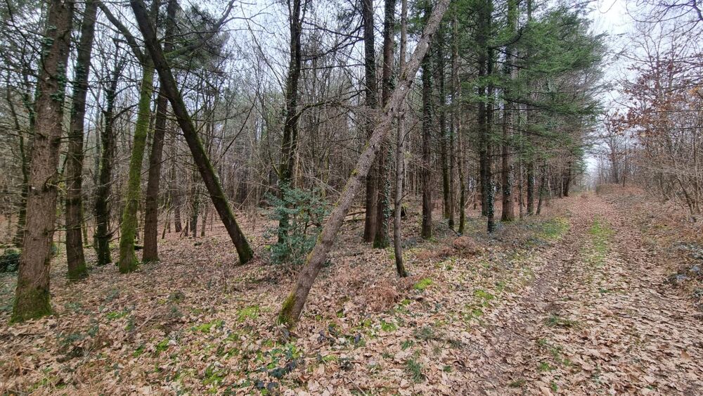Vente Terrain 18 hectares d'un seul tenant Varaignes
