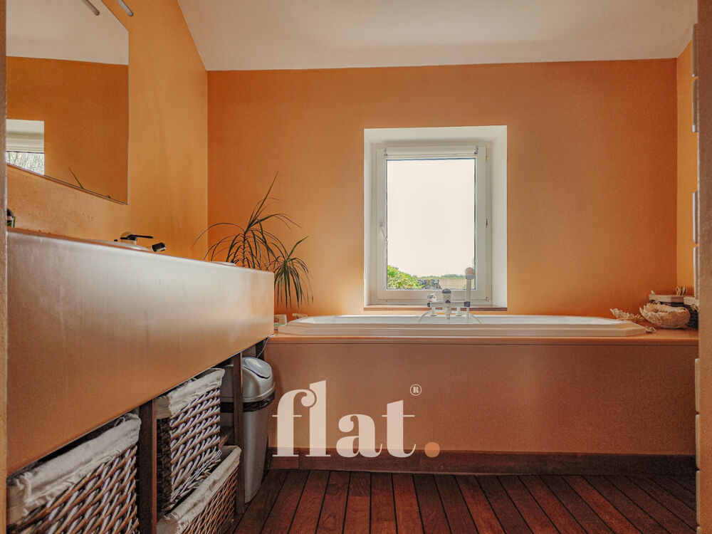  vendre  Proprit/chteau Aigrefeuille-sur-Maine (44140)