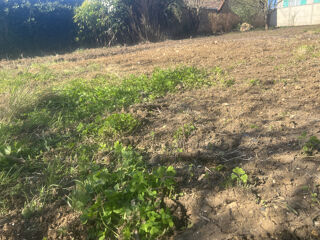  Terrain à vendre 450 m²