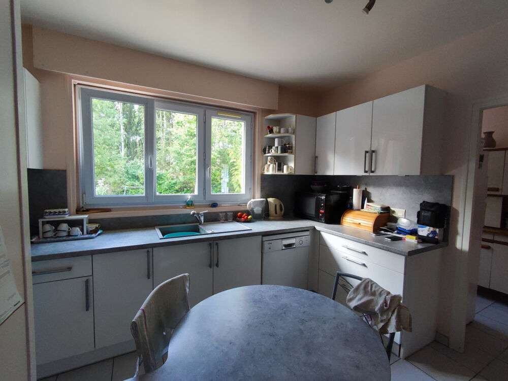 Vente Maison Maison sous sol total plein pied 4 chambres terrain 2000 m2 Proche Chartres et RN10 Paris Nogent le phaye