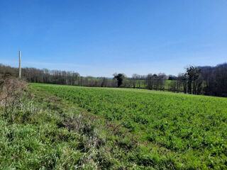  Terrain  vendre 4535 m