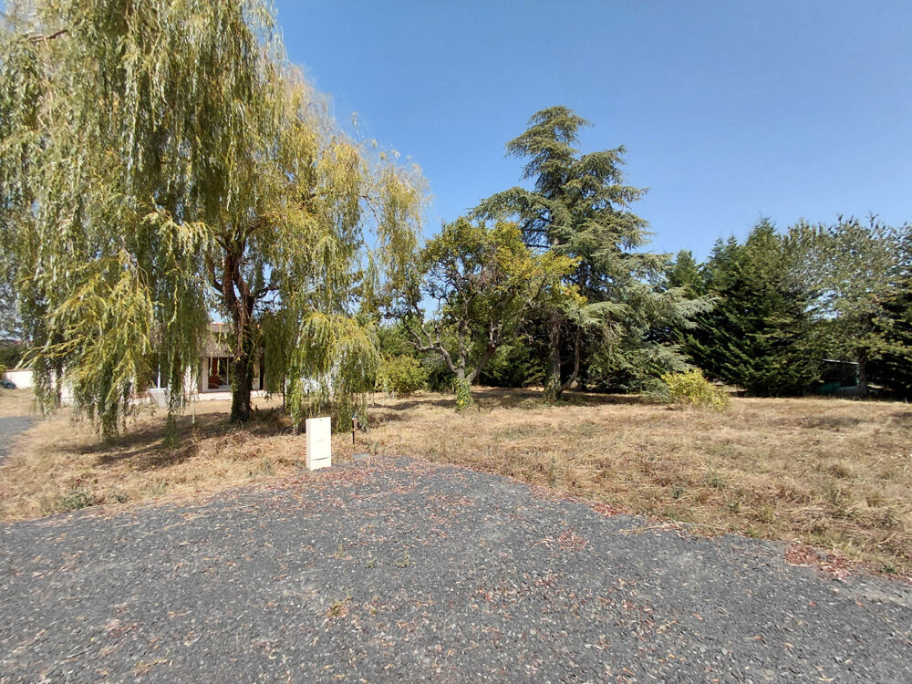 Vente Terrain SAVIGNEUX Savigneux