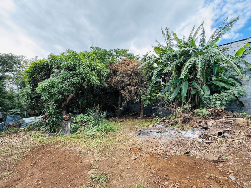 Vente Terrain SAINT PIERRE 97410 - TERRAIN BIEN PROPORTIONNÉ - ZONE UF - SECTEUR PRISÉ St pierre