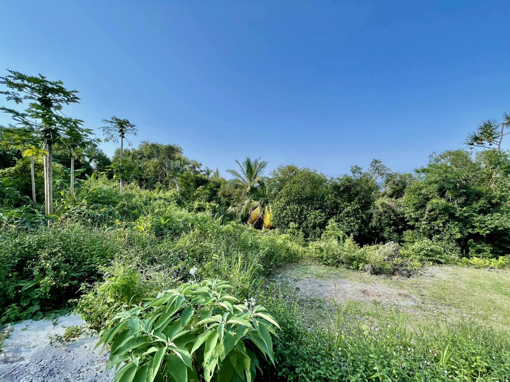 Vente Terrain SAINT PHILIPPE 97442 - TERRAIN AVEC VUE DEGAGEE - SECTEUR CALME St philippe