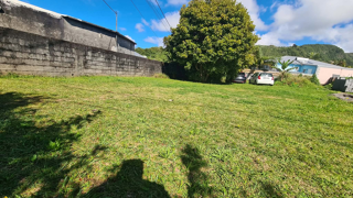 Vente Terrain SAINT JOSEPH 97480 - TERRAIN PLAT ET ARBORÉ - SECTEUR PAISIBLE - VUE DÉGAGÉE - PROCHE COMMODITÉS St joseph