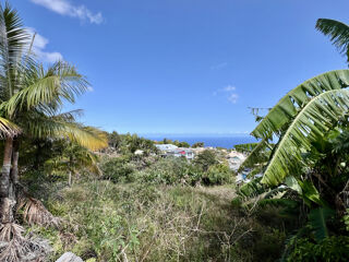 Vente Terrain PETITE ILE 97429 - TERRAIN AVEC VUE MER - CONSTRUCTIBLE - BIEN SITUE Petite ile