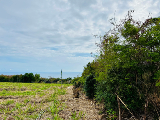  Terrain  vendre 1400 m