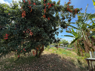  Maison � vendre 4 pi�ces 83 m�