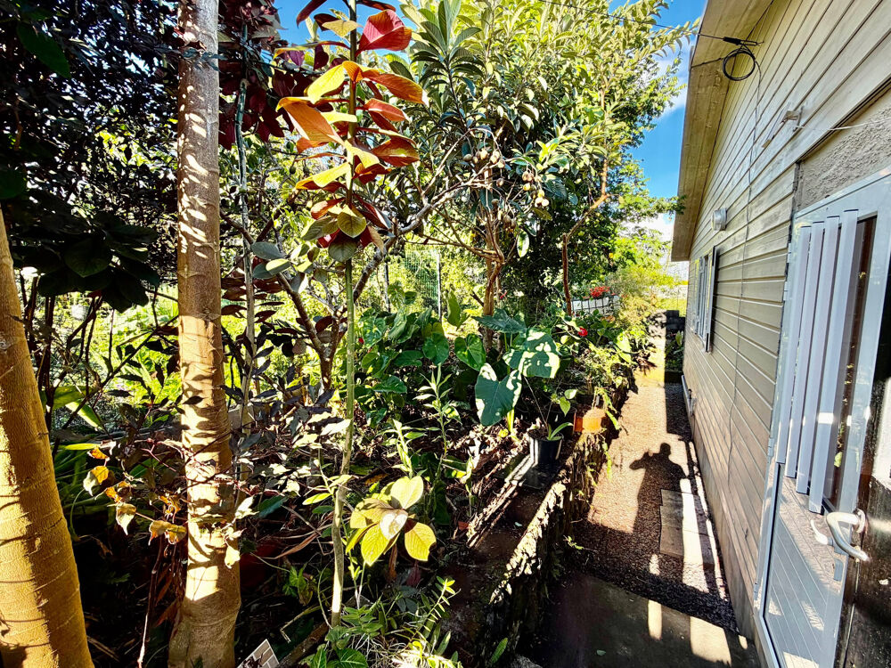 Vente Maison SAINT JOSEPH 97480 - MAISON ENTRETENUE ET LUMINEUSE - TERRASSE - VARANGUE - FACILE D'ACCÈS St joseph