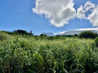  Maison � vendre 10 pi�ces 265 m�