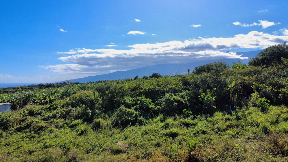Vente Terrain SAINT PIERRE 97410 - PARCELLE CONSTRUCTIBLE - VUE MER ET MONTAGNE - TOUT À LÉGOUT - FOND D'IMPASSE St pierre