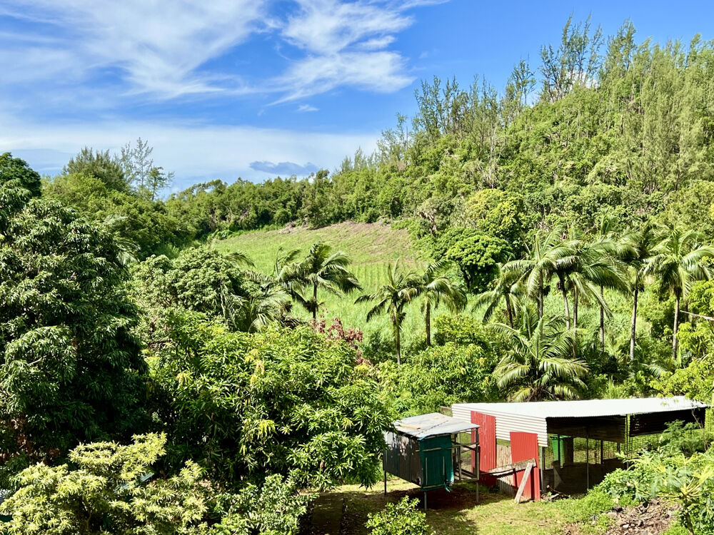 � vendre  Maison Saint-Joseph (97480)