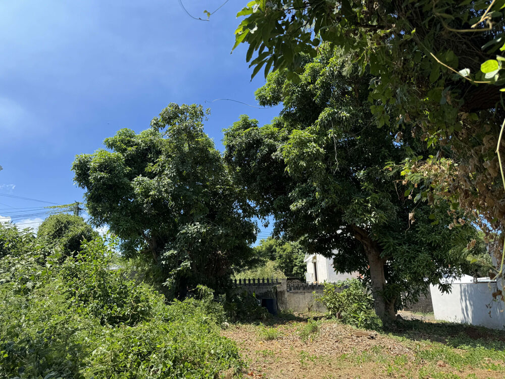 Vente Terrain SAINT PIERRE 97410 - TERRAIN PLAT EN ZONE UF - SECTEUR PRISÉ AU CALME St pierre