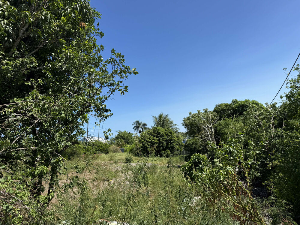 Vente Terrain SAINT PIERRE 97410 - PARCELLE D'ENVIRON 420 m2 EN ZONE UF - PROCHE HOPITAL - QUARTIER PRISÉ St pierre