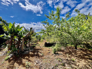  Terrain  vendre 360 m