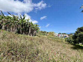 Vente Terrain PETITE ILE 97429 - TERRAIN AVEC VUE MER - CONSTRUCTIBLE - BIEN SITUE Petite ile