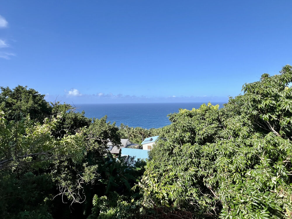 Vente Terrain SAINT JOSEPH 97480 - PARCELLE EN ZONE U5 - PROCHE DES COMMODITES - FORT POTENTIEL St joseph