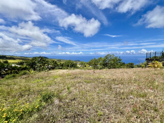  Terrain � vendre 530 m�