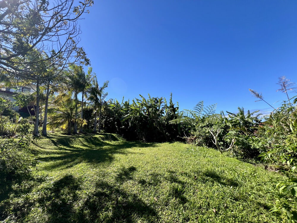 Vente Terrain PETITE ILE 97429 - TERRAIN EN ZONE UC - CONSTRUCTIBLE ET BIEN PROPORTIONNÉ - AU CALME Petite ile