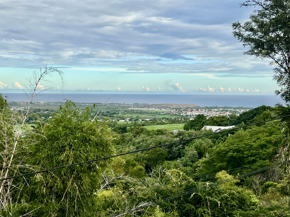 LA RIVIÈRE SAINT-LOUIS 97421 - ENSEMBLE IMMOBILIER - BON RENDEMENT LOCATIF - PROCHE DE TOUTES COMMODITÉS