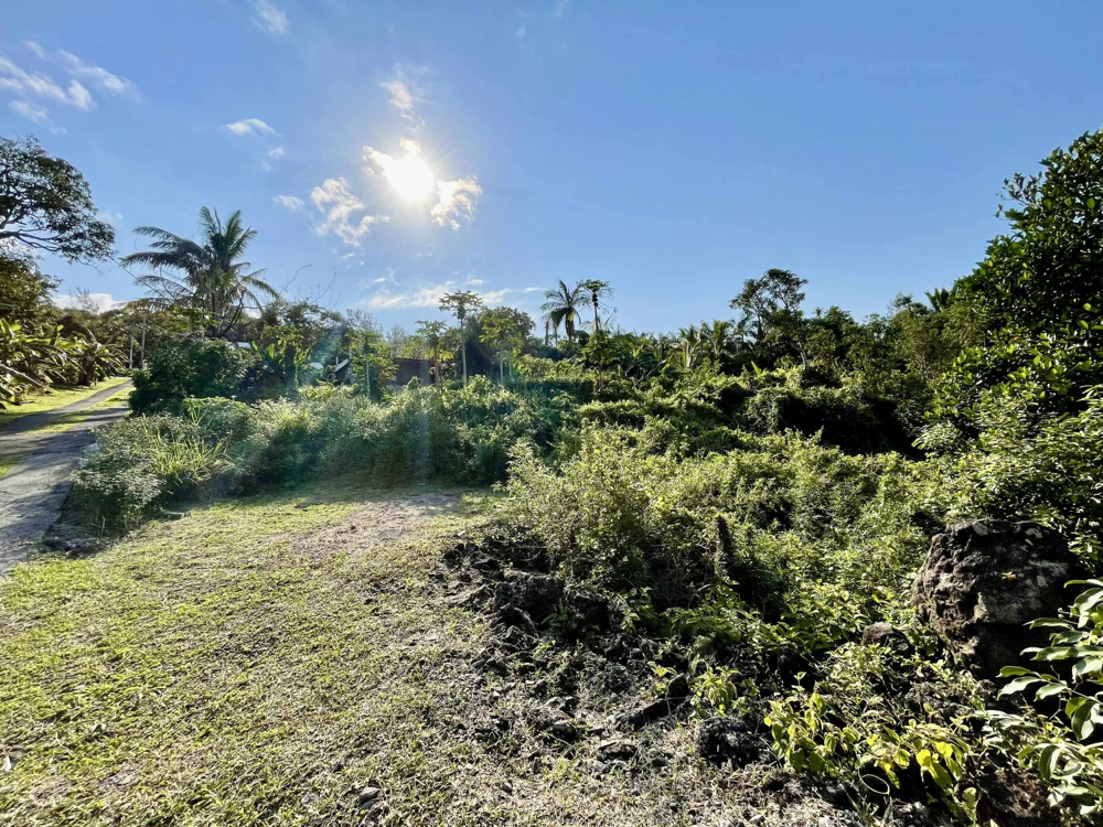 Vente Terrain SAINT PHILIPPE 97442 - TERRAIN AVEC VUE DEGAGEE - SECTEUR CALME St philippe