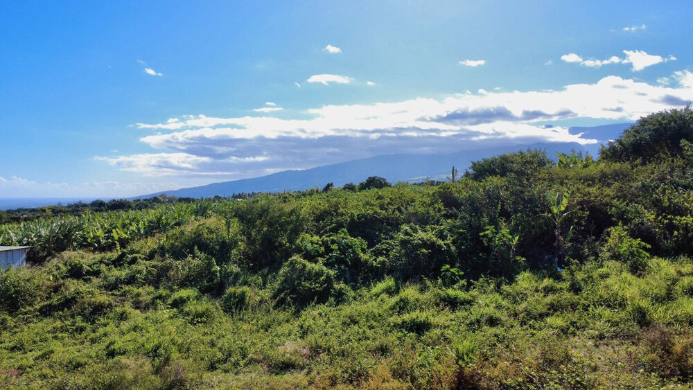 Vente Terrain SAINT PIERRE 97410 - PARCELLE CONSTRUCTIBLE - VUE MER ET MONTAGNE - TOUT À LÉGOUT - FOND D'IMPASSE St pierre