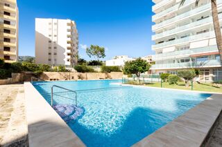  Appartement � vendre 1 pi�ce 35 m� Calvi�