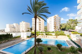  Appartement � vendre 1 pi�ce 35 m� Calvi�