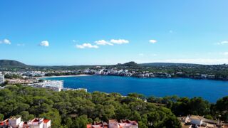  Appartement � vendre 3 pi�ces 100 m� Calvi�