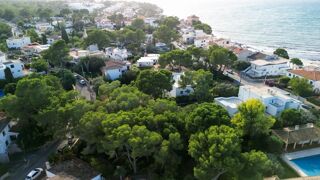  Terrain � vendre 1 pi�ce 480 m� Llucmajor