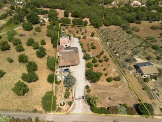  Maison à vendre 5 pièces 341 m² Moscari