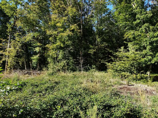  Terrain � vendre 869 m�