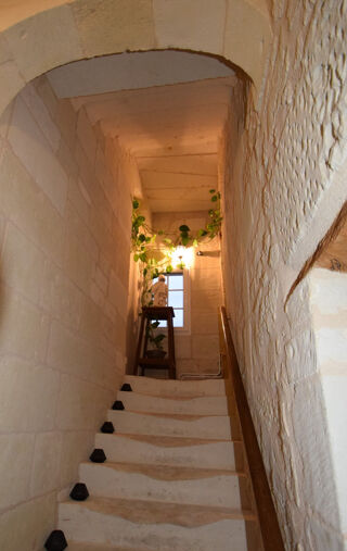  Maison � vendre 12 pi�ces 309 m�